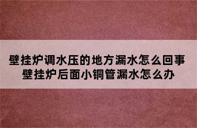 壁挂炉调水压的地方漏水怎么回事 壁挂炉后面小铜管漏水怎么办